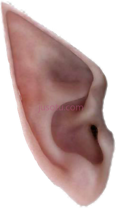 精灵耳,elf ear PNG