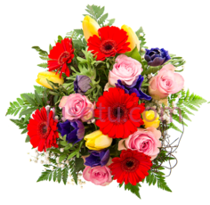 花束,装饰,植物 PNG