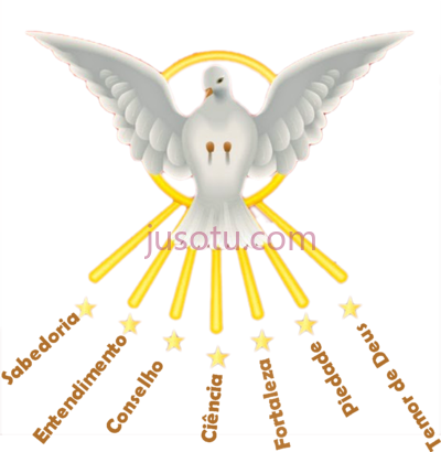 神灵鸽子,pomba da crisma divino espirito santo PNG