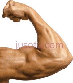 二头肌,flex closeup PNG