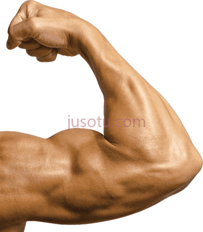 二头肌,slider vanya bicep PNG