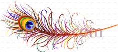 孔雀羽毛,peacock feather PNG