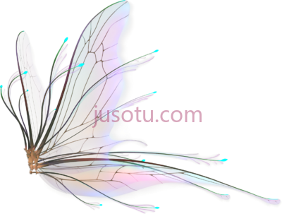 仙女翅膀,realistic fairy wings PNG
