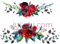 红花玫瑰水彩PNG