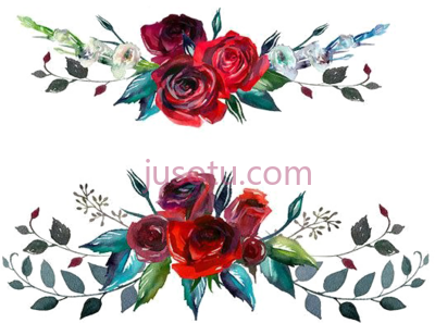 红花玫瑰水彩,red flowers roses watercolor PNG