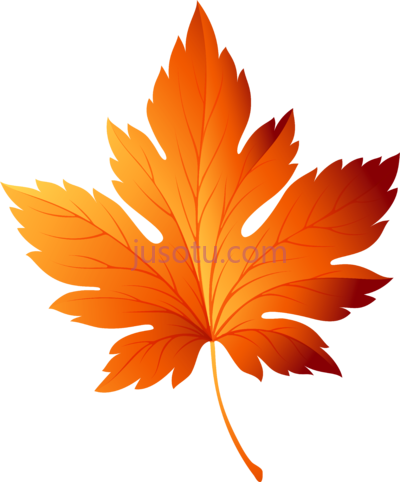 秋天叶子,library leaf art PNG