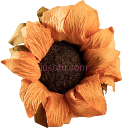 向日葵,sunflower yellow vintage arthoe flower PNG