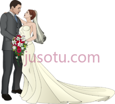 新娘新婚夫妇,卡通,动画 PNG