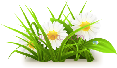 花草,flowers grass PNG