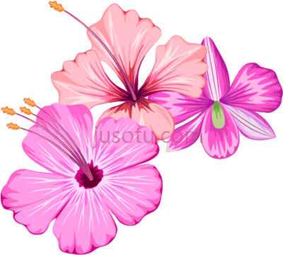 花,small fresh flowers summer PNG