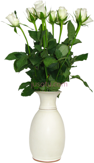 花瓶,flower vase PNG