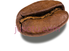 咖啡豆PNG