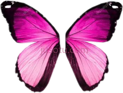 粉红蝴蝶翅膀,pink butterfly wings PNG