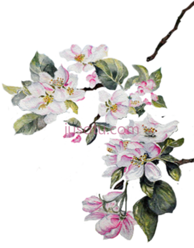 水彩花,paper watercolor painting flower PNG