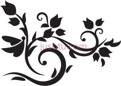 花卉,elegant floral PNG