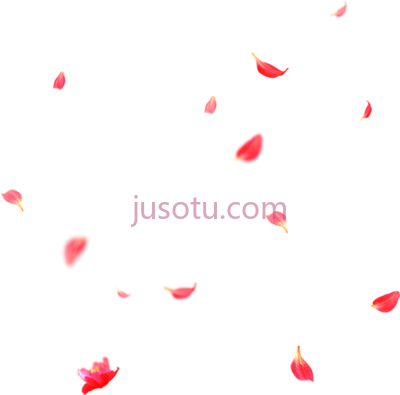 花瓣飘落,beautiful flower petals falling PNG