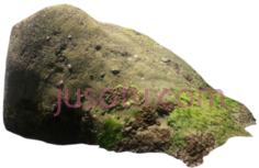 岩石PNG