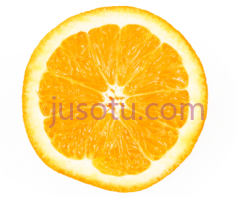 橙子PNG
