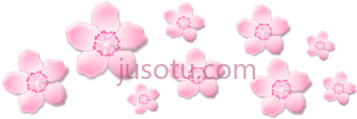 粉红花,pink flower PNG