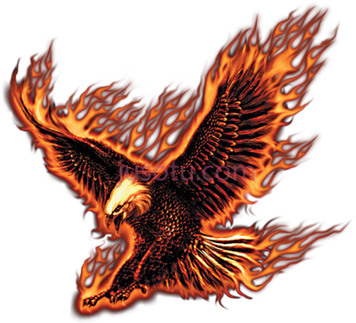 火鹰,black and white flying fire eagle PNG