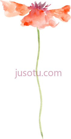 水彩花卉PNG