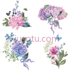 花,hydrangea PNG