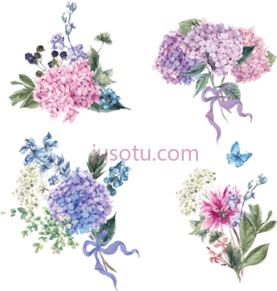 花,royalty flower euclidean hand PNG