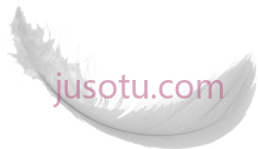 羽毛PNG