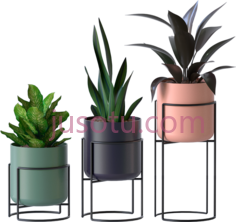花盆种植园,flowerpot PNG