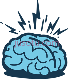 大脑PNG