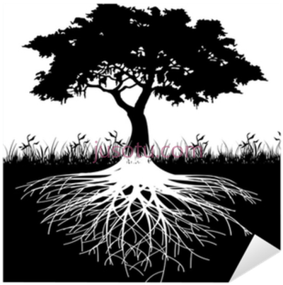 树根,thick tree roots silhouette PNG