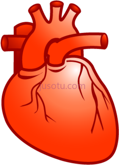 心脏,real heart cardiology plastic xp icon PNG