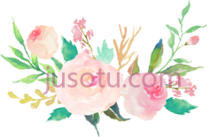水彩粉彩花, PNG