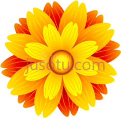 橙花PNG