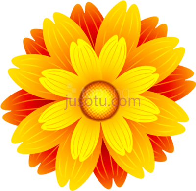 橙花,orange flower art PNG