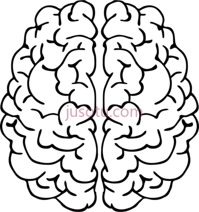 脑,art black and white brain line PNG