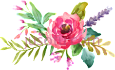 粉红色水彩花束,floral PNG