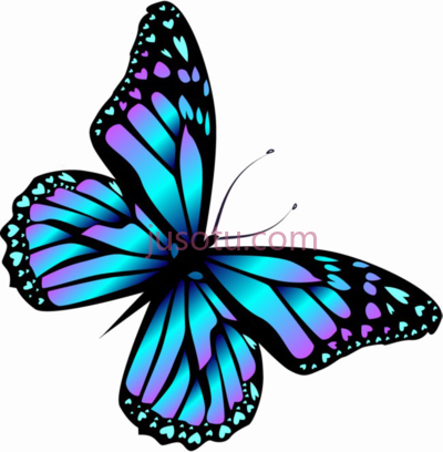 蓝蝴蝶,blue butterfly PNG