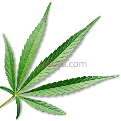大麻叶,cannabis leaf PNG