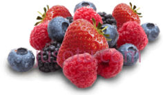 浆果PNG