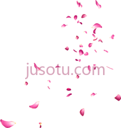 飘落玫瑰花瓣,flower PNG
