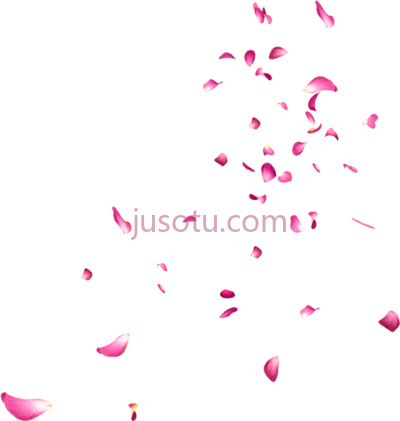 飘落玫瑰花瓣,falling rose petals PNG