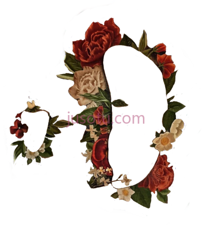 花,flowers PNG