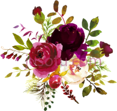 勃艮第花PNG