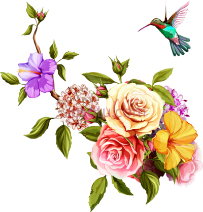 玫瑰花鸟,watercolor painting flowers and birds old rose hummingbird and border PNG