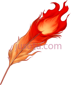 凤凰羽毛PNG