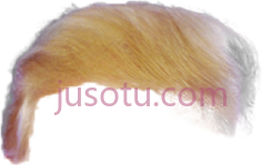 特朗普头发,trump hair overlay PNG