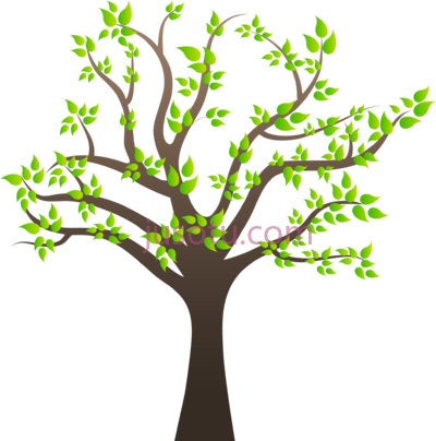 树枝,tree branches PNG