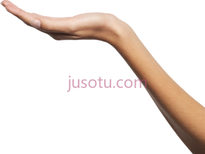 人手,human hand PNG