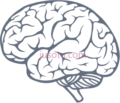 头脑,brain at get PNG